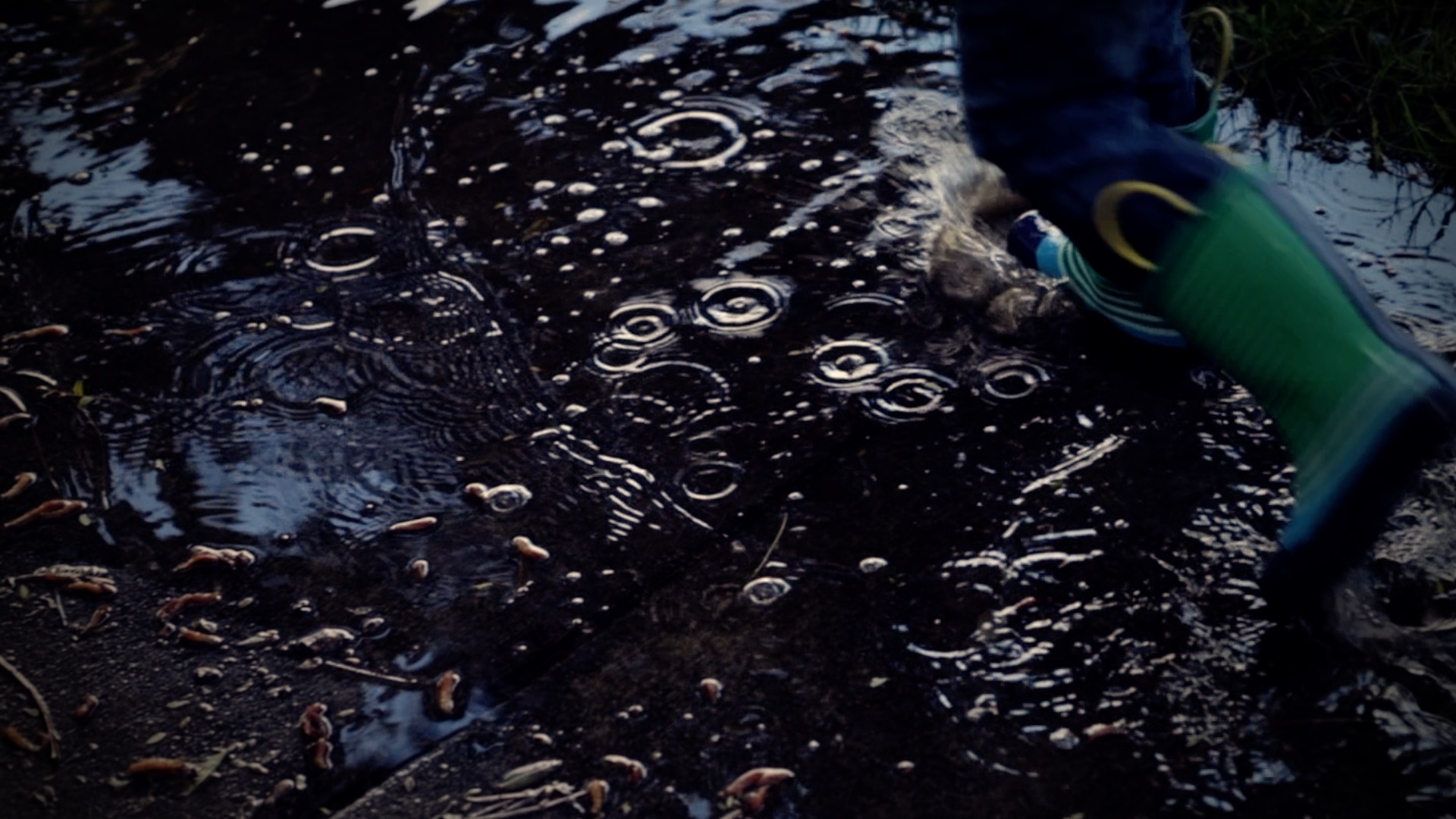 ripples in a puddle